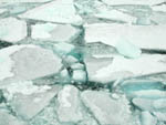 Sea Ice at the Dock