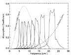 Model of the Absolute Absorption Coefficient...