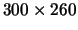 $300\times 260$