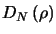 $D_{N} \left ({\mathbf{\rho}} \right )$