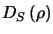 $D_{S}\left(\mathbf{\rho} \right)$