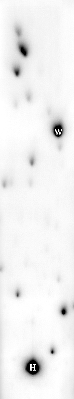 \begin{figure}\begin{center}
\epsfig{file=not2/m13_n3_str,width=3.4cm}\end{center}\end{figure}