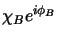$\displaystyle \chi_{B} e^{i\phi_{B}}$