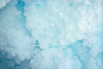 rounded frost